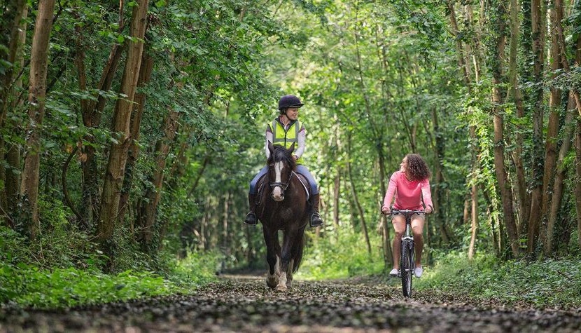 Horse riding Meon Valley Trail